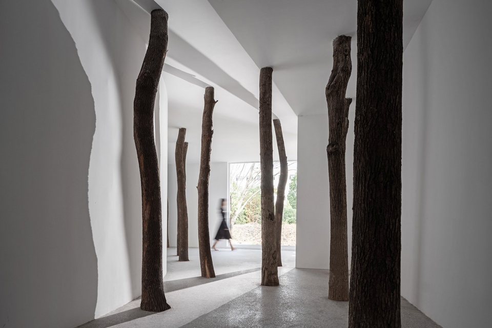 No. 5 Forest JCD.interior design