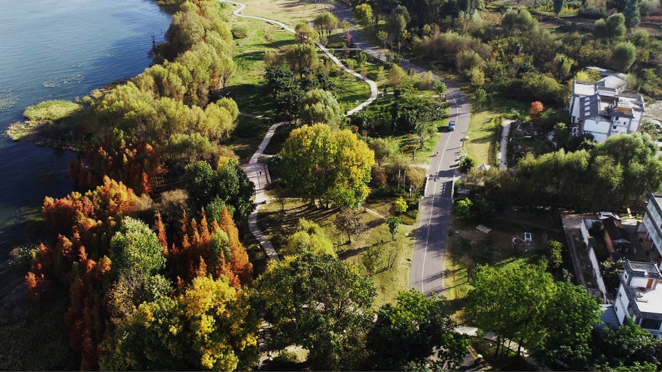 Ecological Restoration Design of Erhai Lake Riparian Buffer Zone Demonstration Section zeho