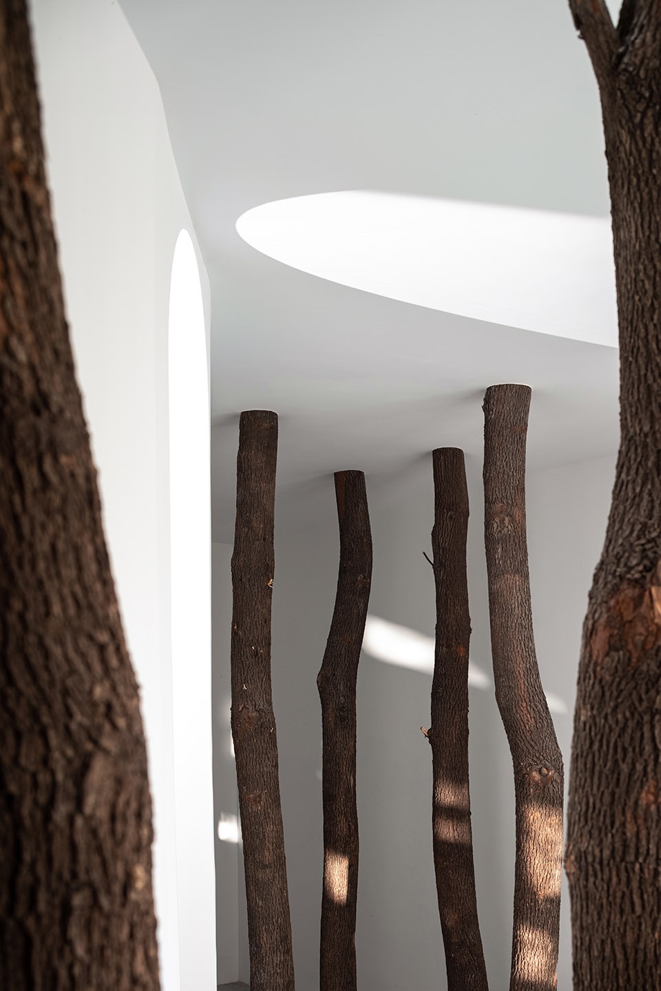 No. 5 Forest JCD.interior design