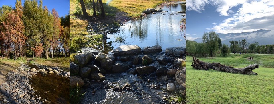 Ecological Restoration Design of Erhai Lake Riparian Buffer Zone Demonstration Section zeho