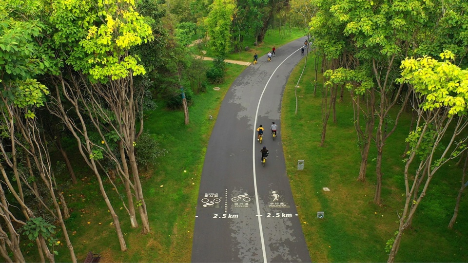 Ecological Restoration Design of Erhai Lake Riparian Buffer Zone Demonstration Section zeho