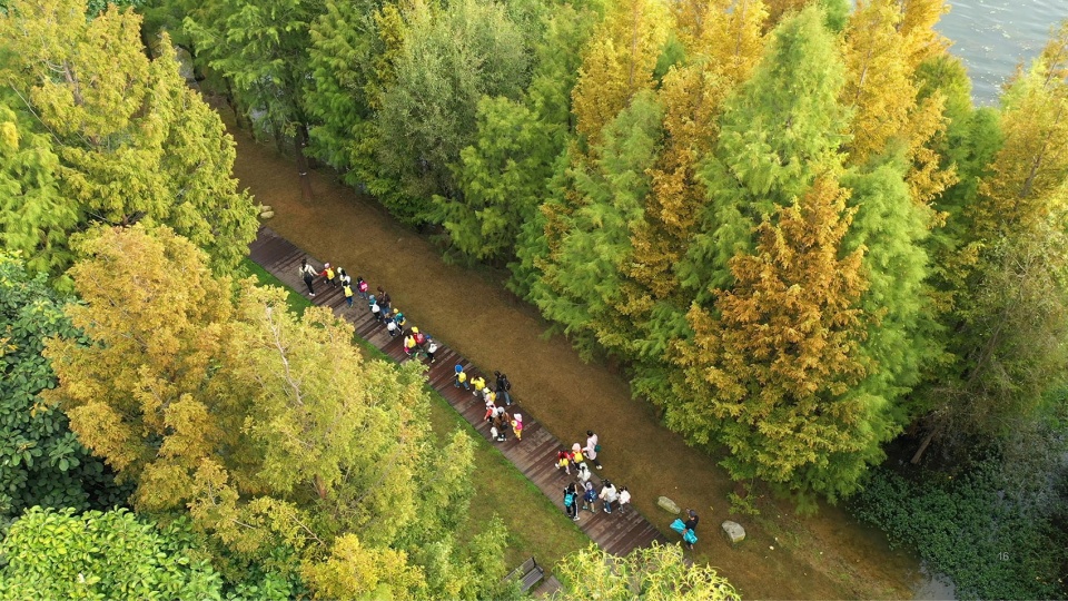 Ecological Restoration Design of Erhai Lake Riparian Buffer Zone Demonstration Section zeho