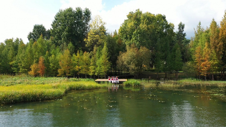 Ecological Restoration Design of Erhai Lake Riparian Buffer Zone Demonstration Section zeho