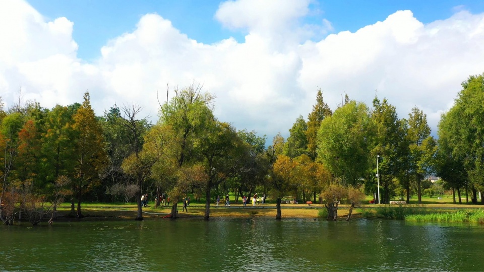 Ecological Restoration Design of Erhai Lake Riparian Buffer Zone Demonstration Section zeho