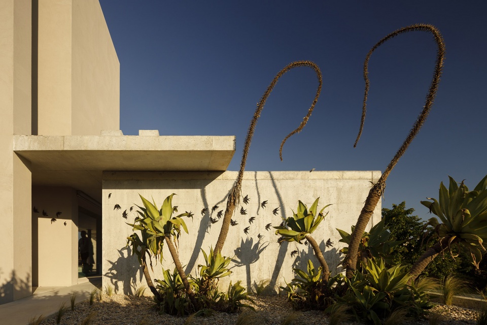 ev house viseu by artspazios