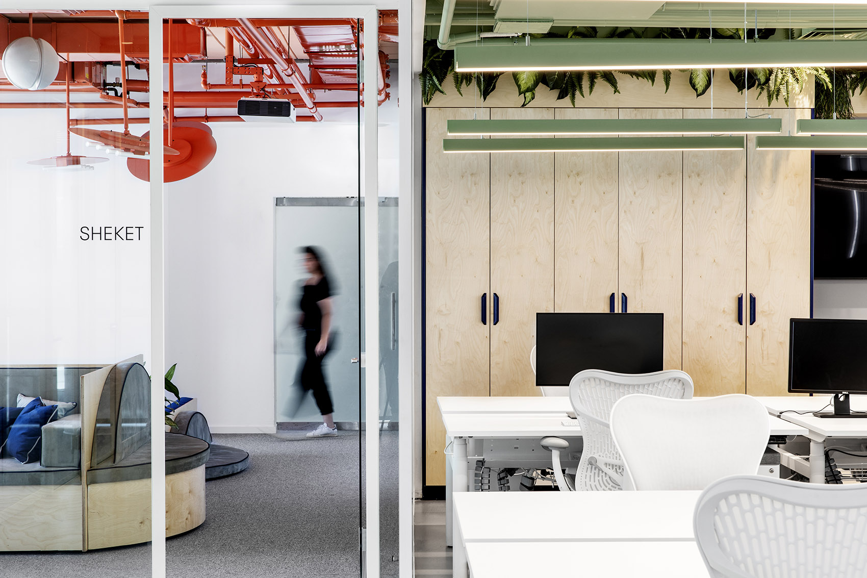 twist bioscience offices by roy david architecture