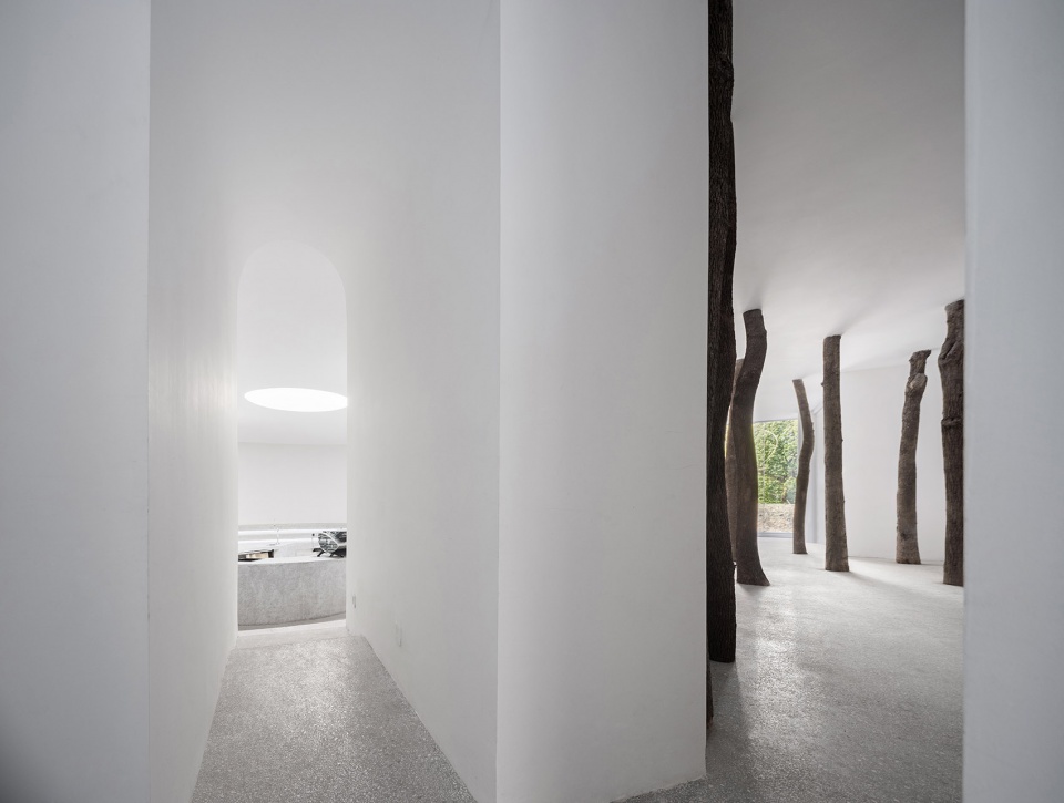 No. 5 Forest JCD.interior design