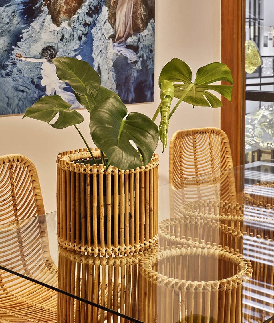 project rattan by enter projects asia