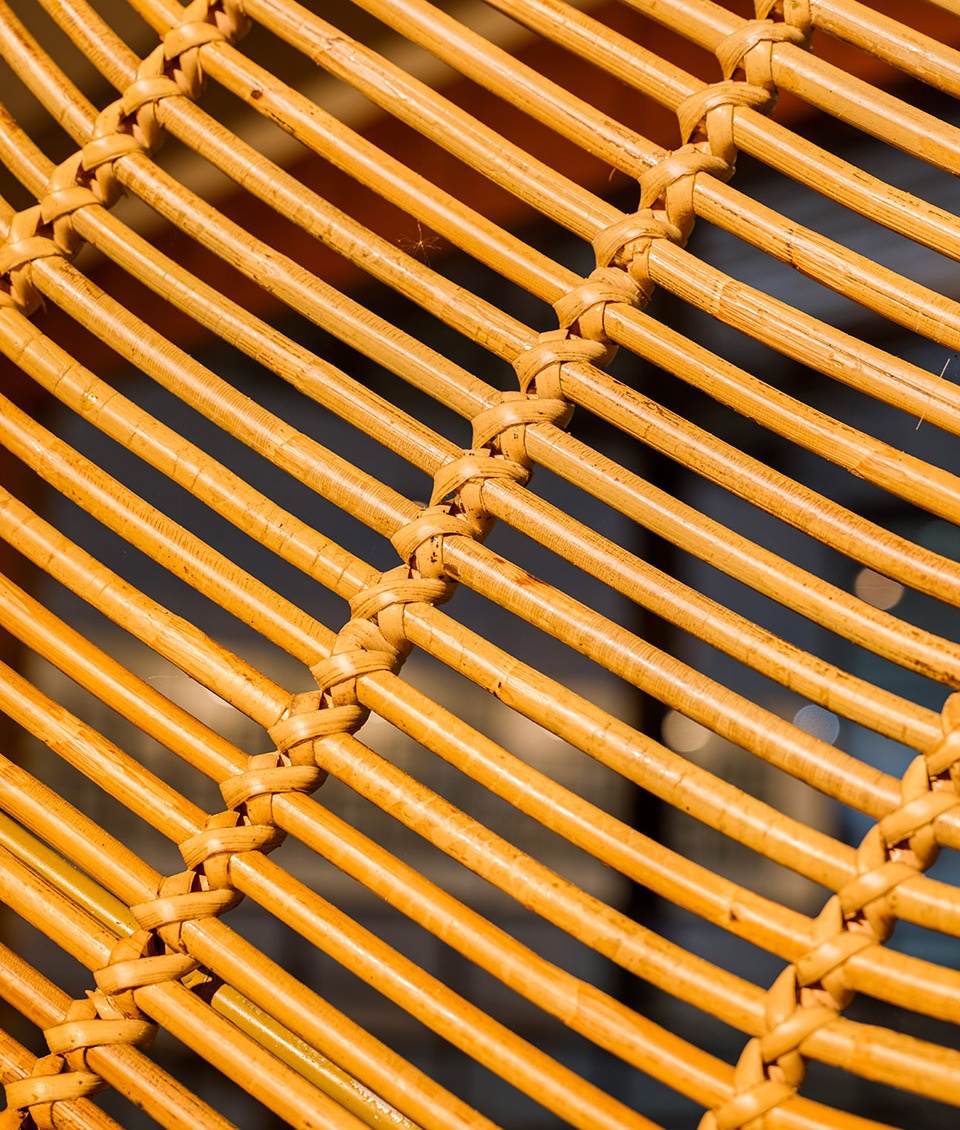 project rattan by enter projects asia