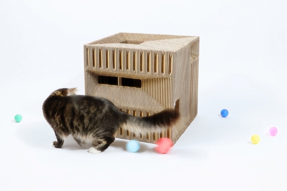 Cat Cube China by Lei Du