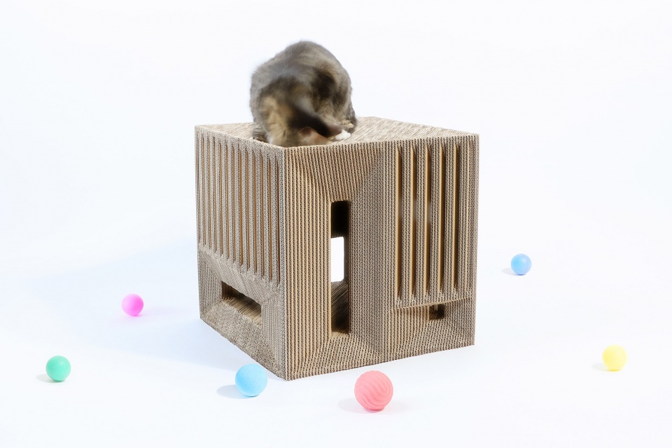 Cat Cube China by Lei Du