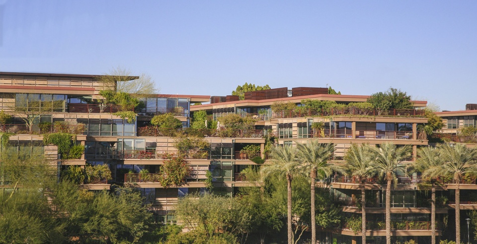 2020 asla residential design award of honor vertical oasis verdant sustainability in an arid climate floor associates inc