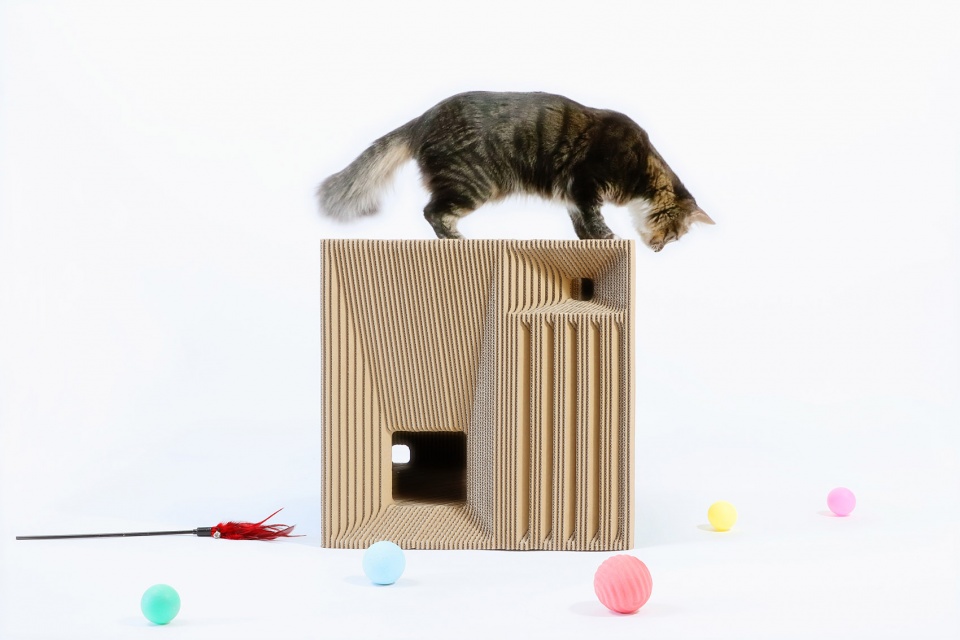 Cat Cube China by Lei Du