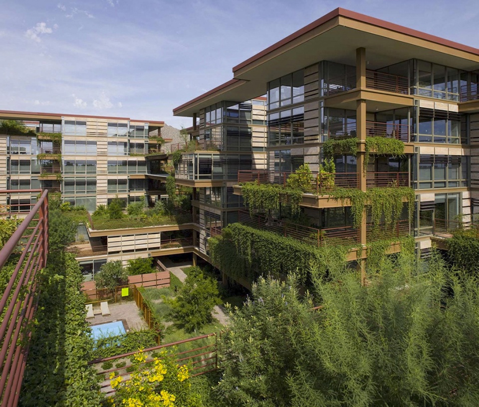 2020 asla residential design award of honor vertical oasis verdant sustainability in an arid climate floor associates inc