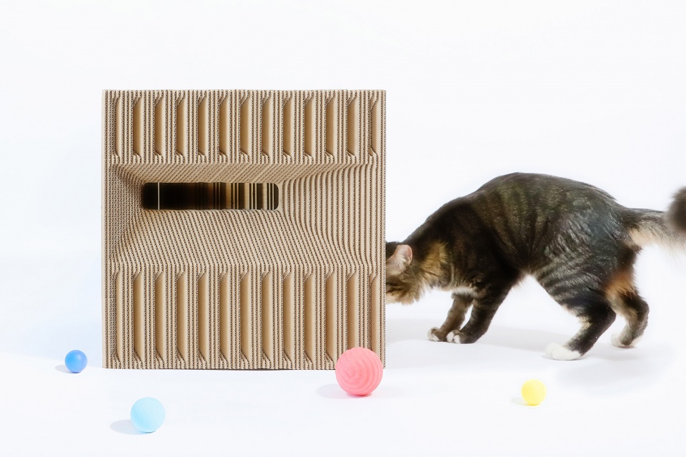 Cat Cube China by Lei Du