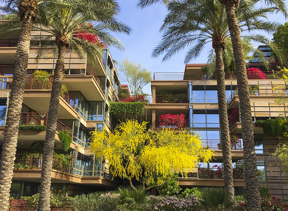 2020 asla residential design award of honor vertical oasis verdant sustainability in an arid climate floor associates inc