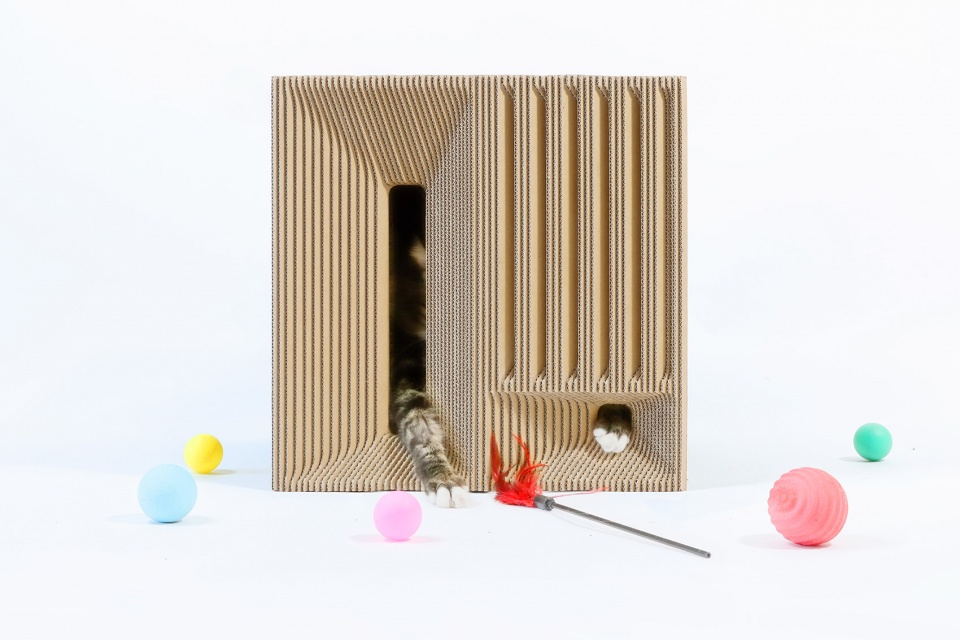 Cat Cube China by Lei Du