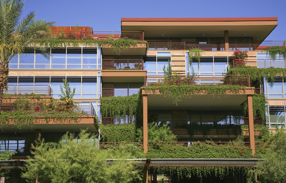 2020 asla residential design award of honor vertical oasis verdant sustainability in an arid climate floor associates inc
