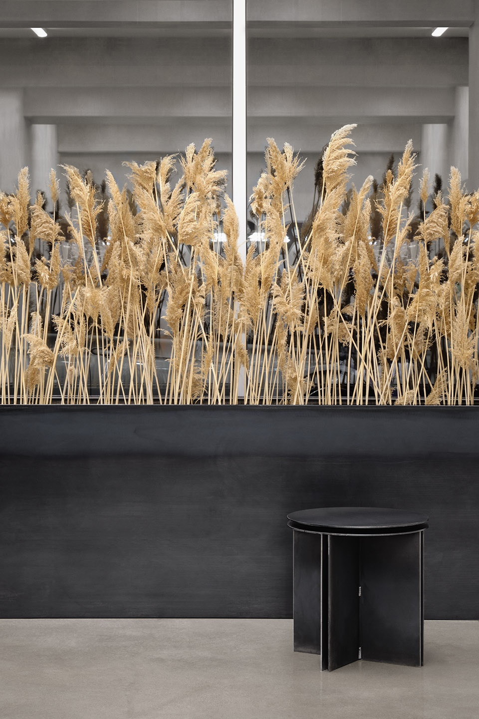 CRISP barber shop by IVY