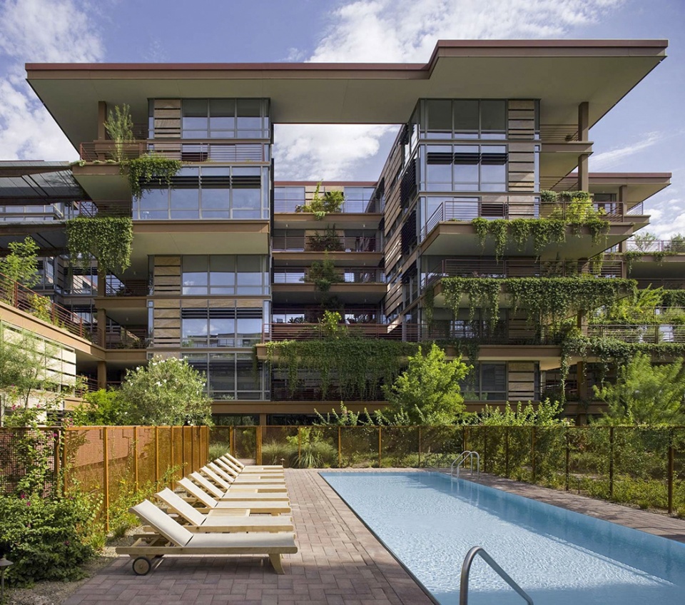 2020 asla residential design award of honor vertical oasis verdant sustainability in an arid climate floor associates inc