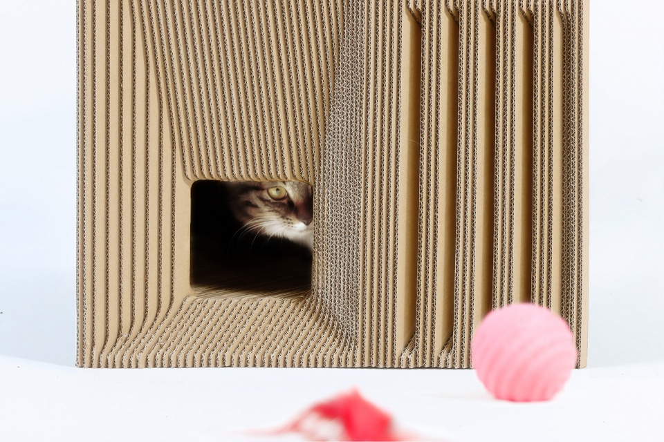 Cat Cube China by Lei Du