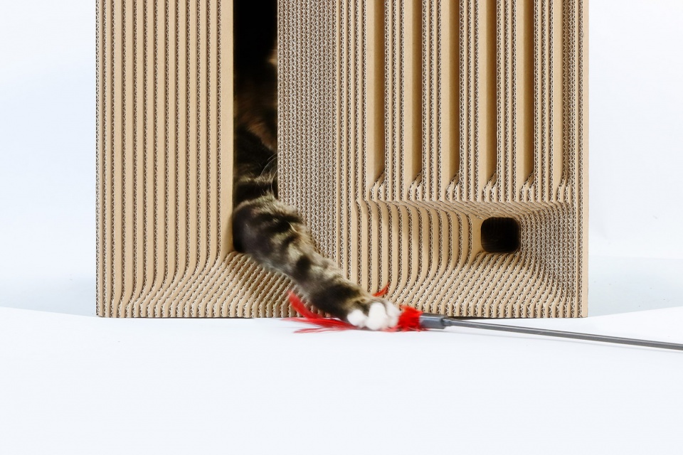 Cat Cube China by Lei Du