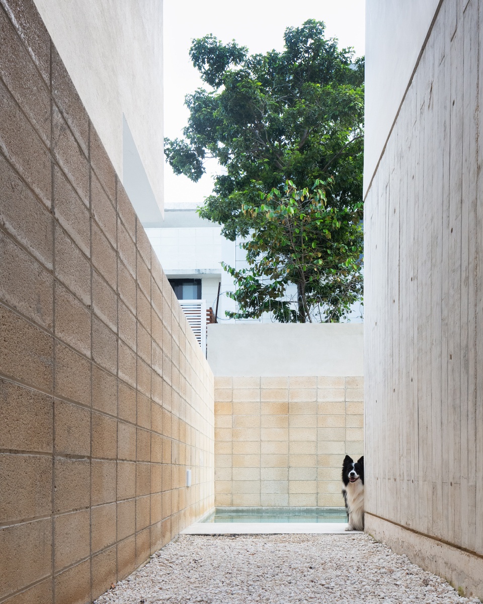 risch house by kiltro polaris arch