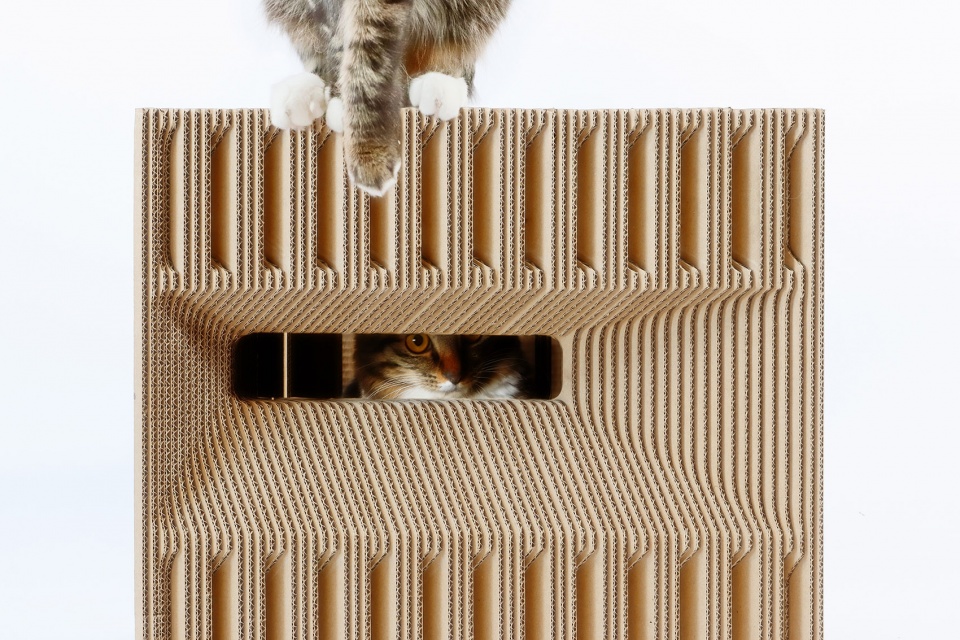 Cat Cube China by Lei Du