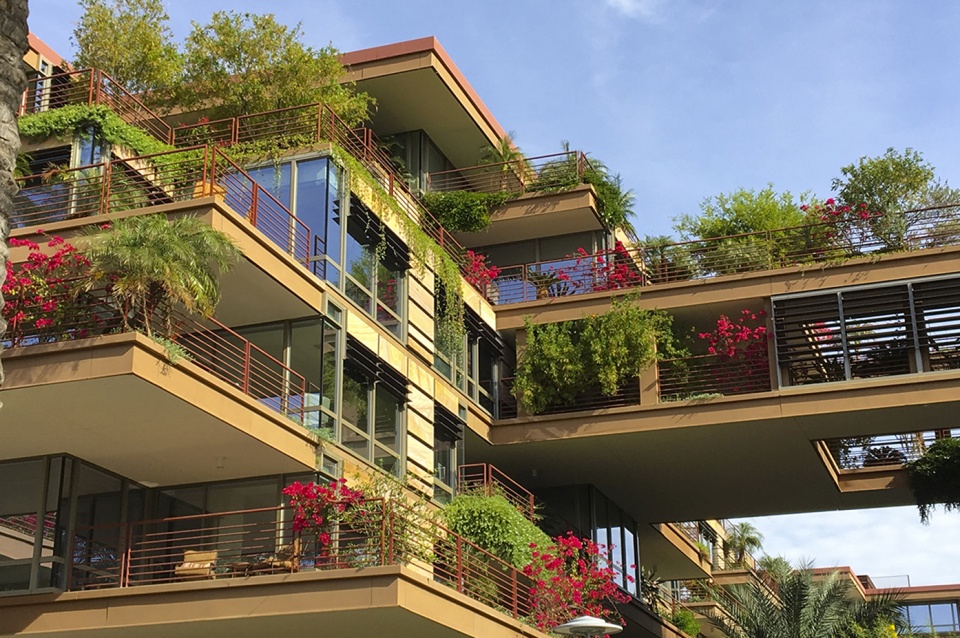2020 asla residential design award of honor vertical oasis verdant sustainability in an arid climate floor associates inc