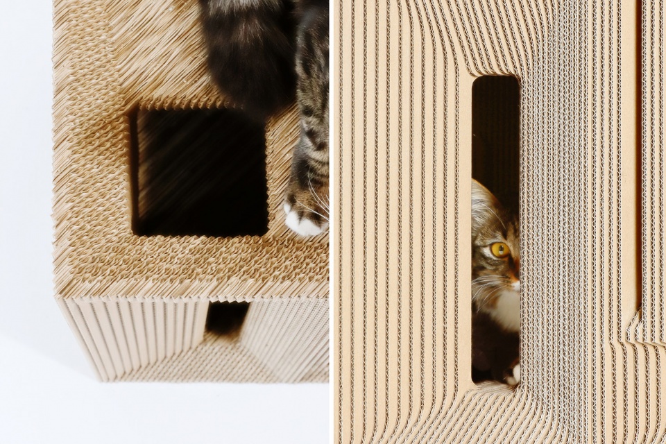 Cat Cube China by Lei Du