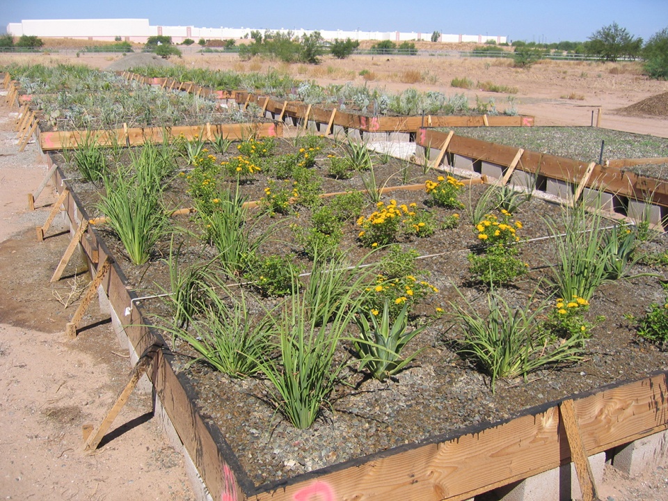 2020 asla residential design award of honor vertical oasis verdant sustainability in an arid climate floor associates inc