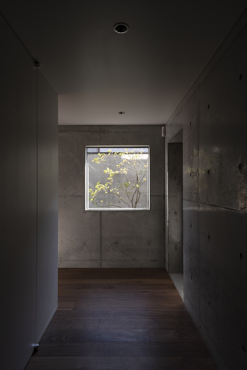 Concrete Shell House by IKAWAYA ARCHITECTS