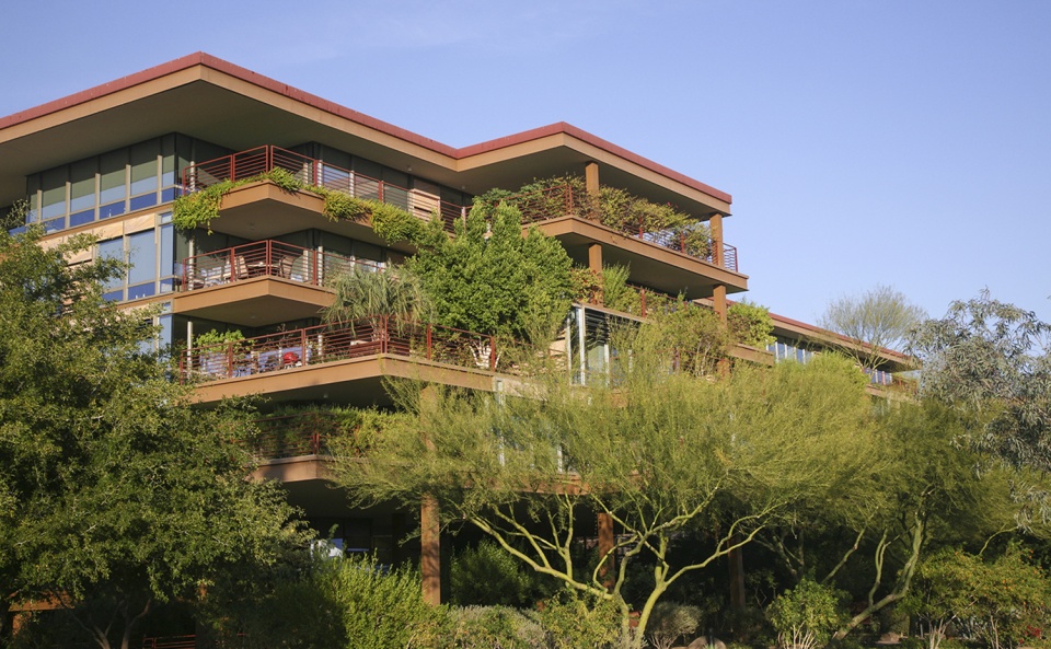 2020 asla residential design award of honor vertical oasis verdant sustainability in an arid climate floor associates inc