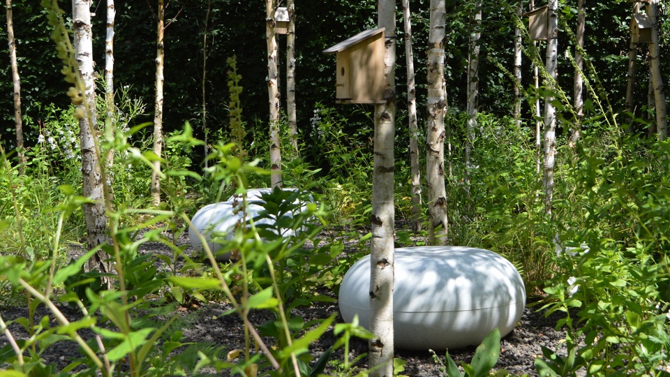 In the eyes of mother earth by MAAK space