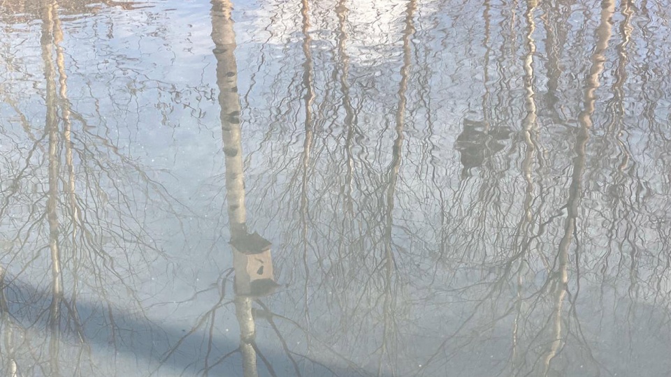 In the eyes of mother earth by MAAK space