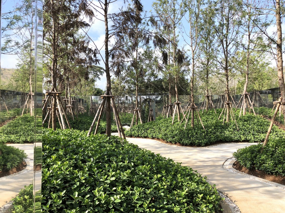 landscape design of hotel labaris khao yai by shma