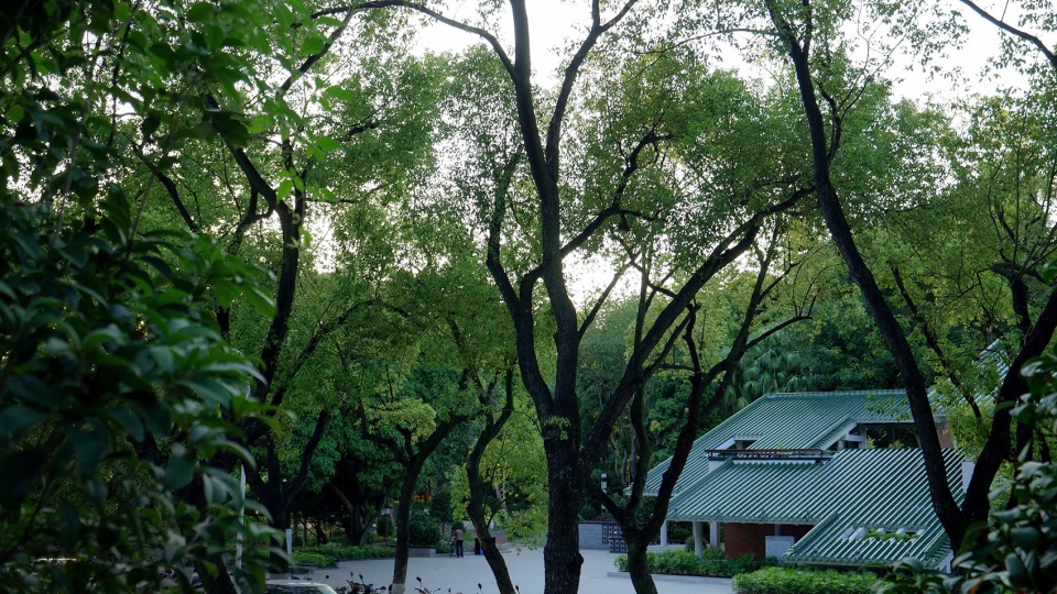 Green Tile HouseJiangmen Neo Lingnan Landscape Architecture Institute