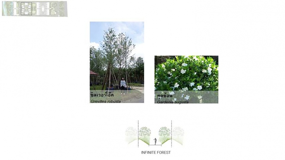 landscape design of hotel labaris khao yai by shma 1
