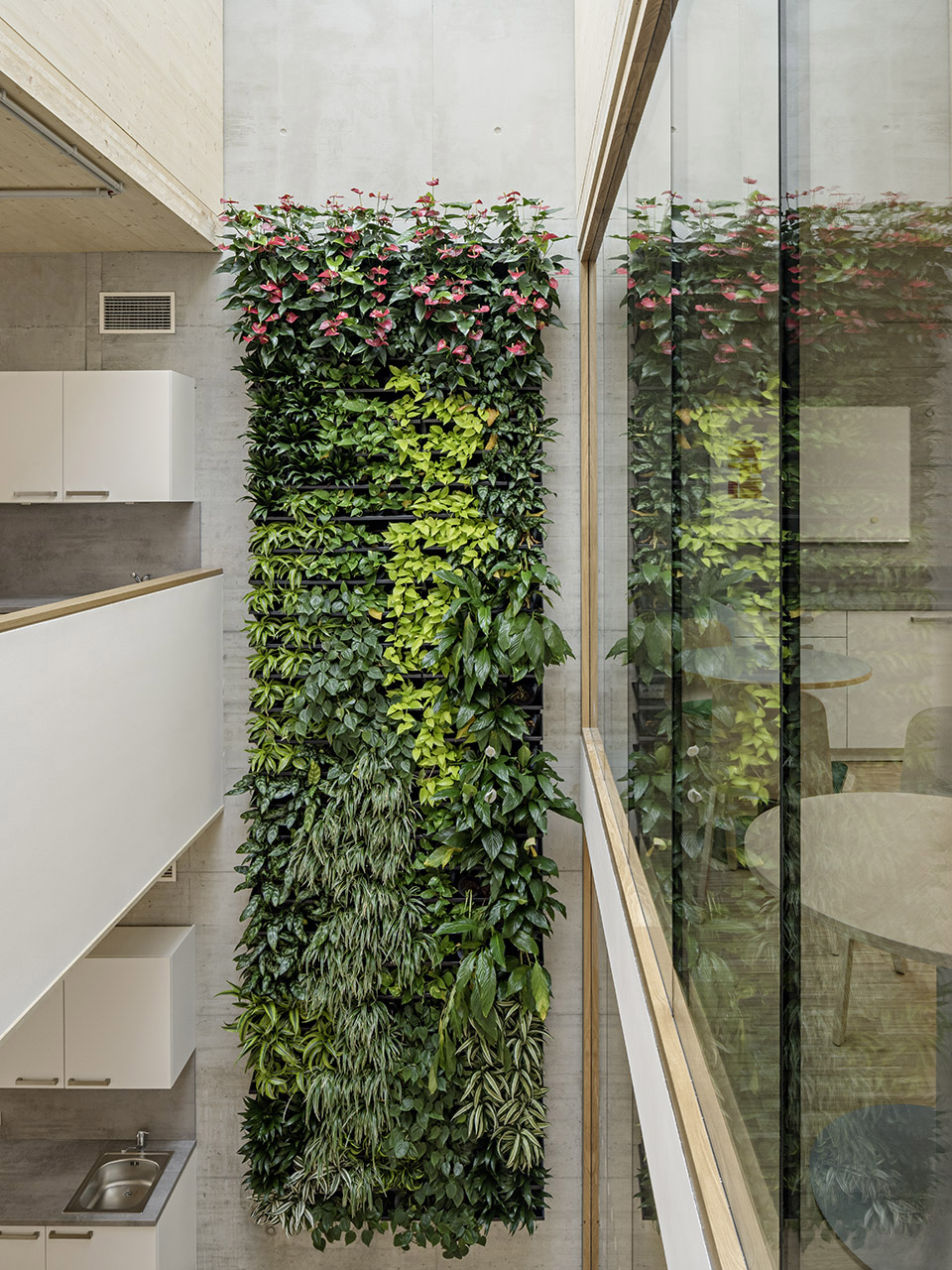 library and seminar centre boku vienna by swap architekten delta