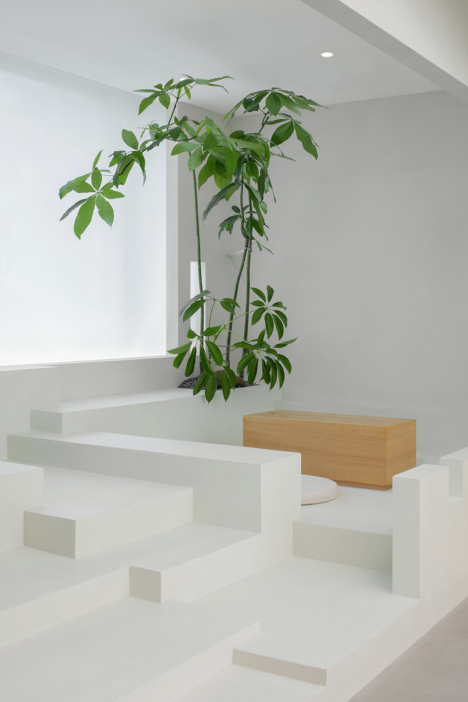Pushe Tea Room Jiejie studio