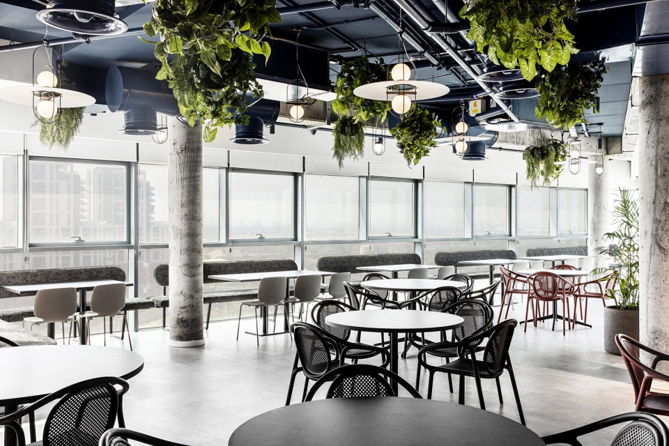 Skybox Roy David Architecture