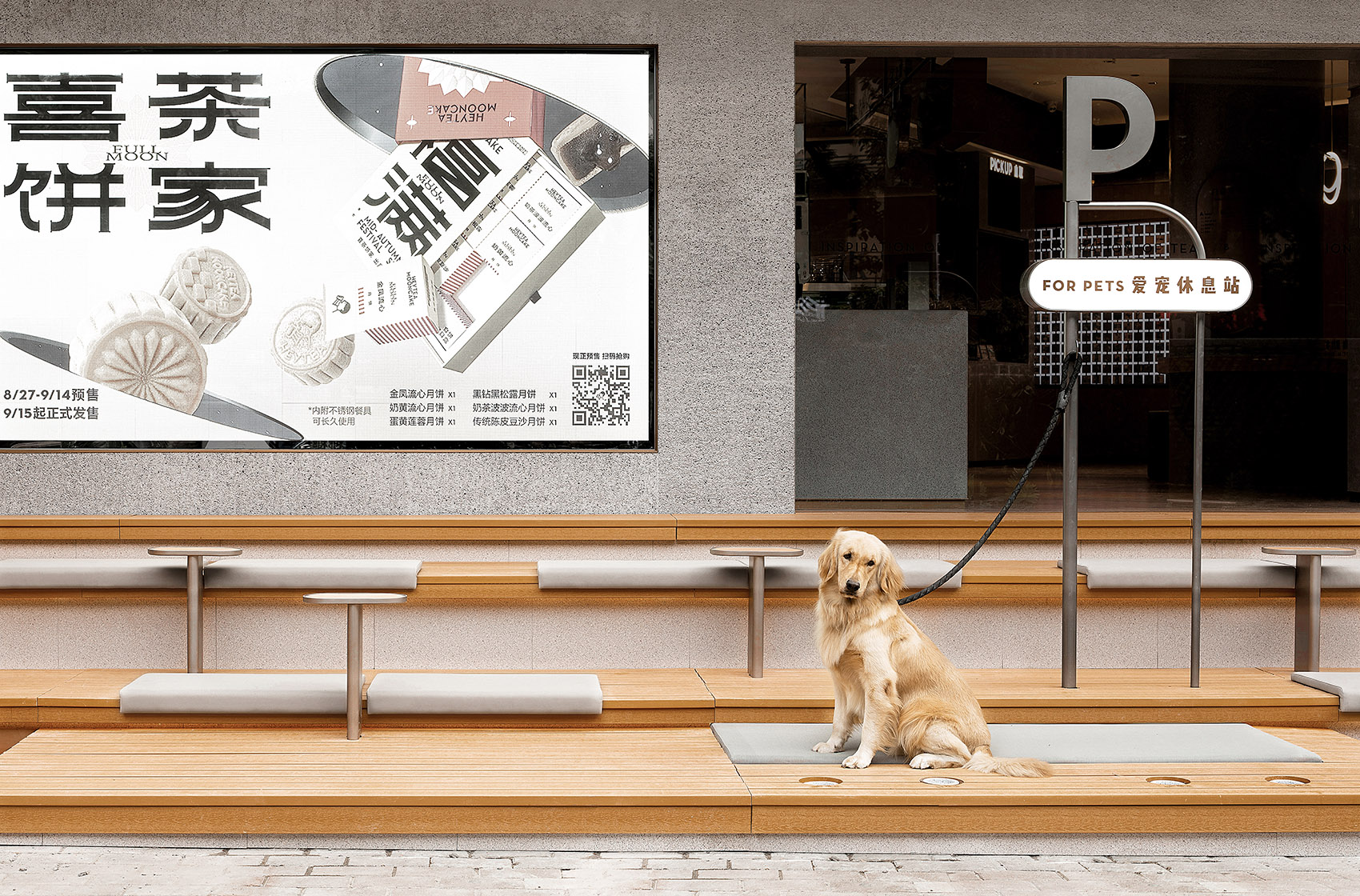 Companion · HEYTEA Pet Friendly Theme Store, China by UND Design Studio