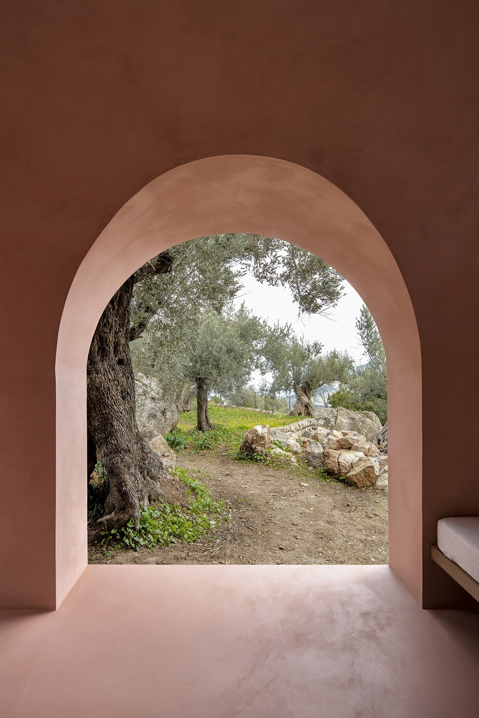The Olive Houses by mar plus ask