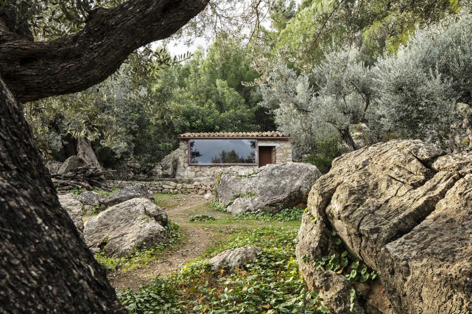 The Olive Houses by mar plus ask
