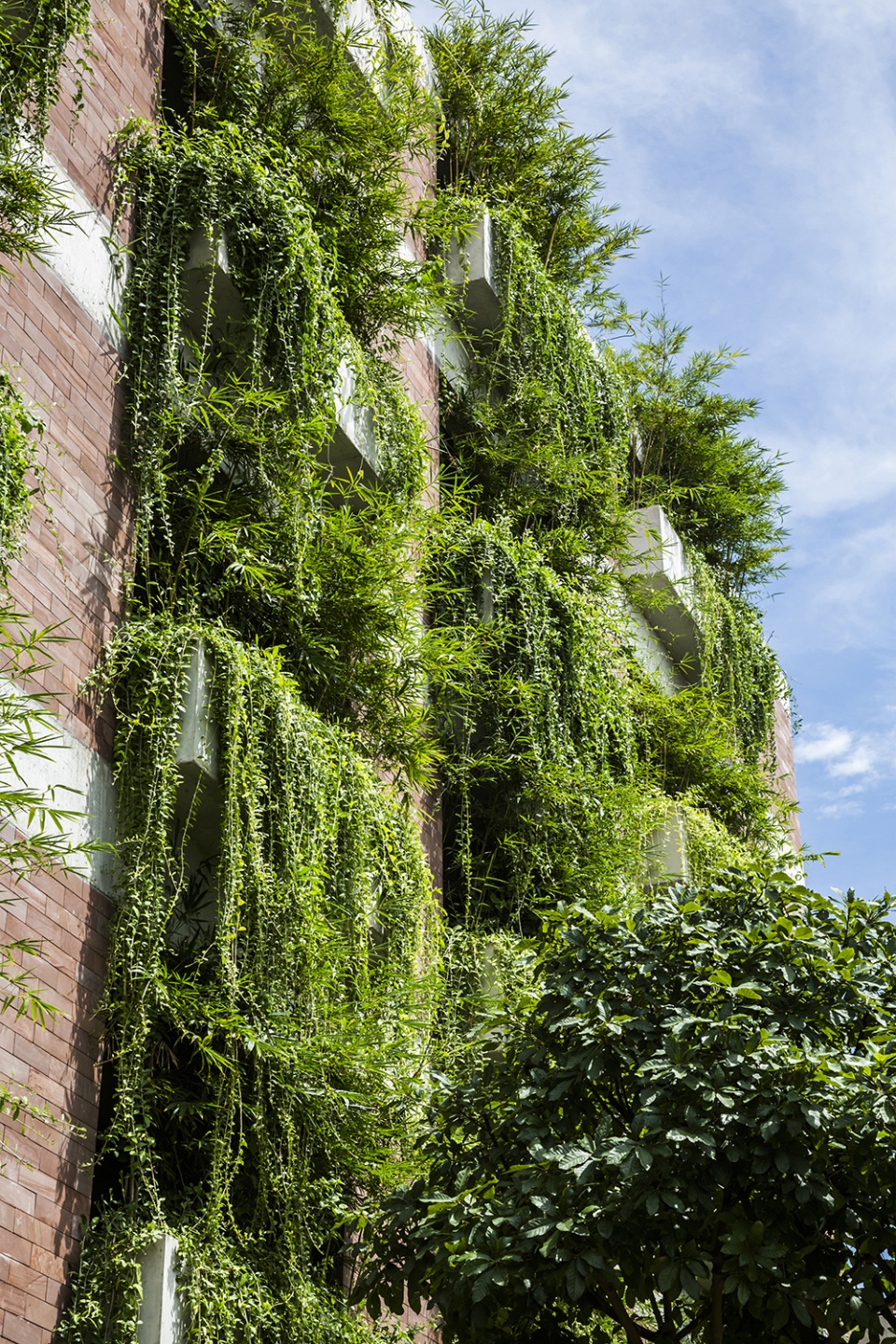 atlas hotel hoian by vtn architects
