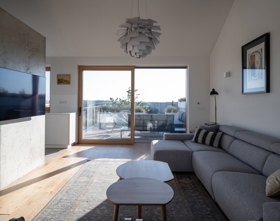Family House With Atrium by SENAA architekti