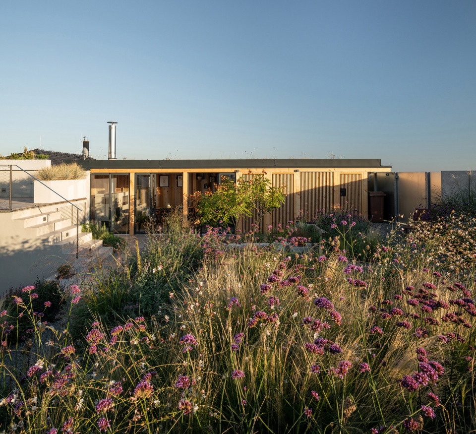 Family House With Atrium by SENAA architekti