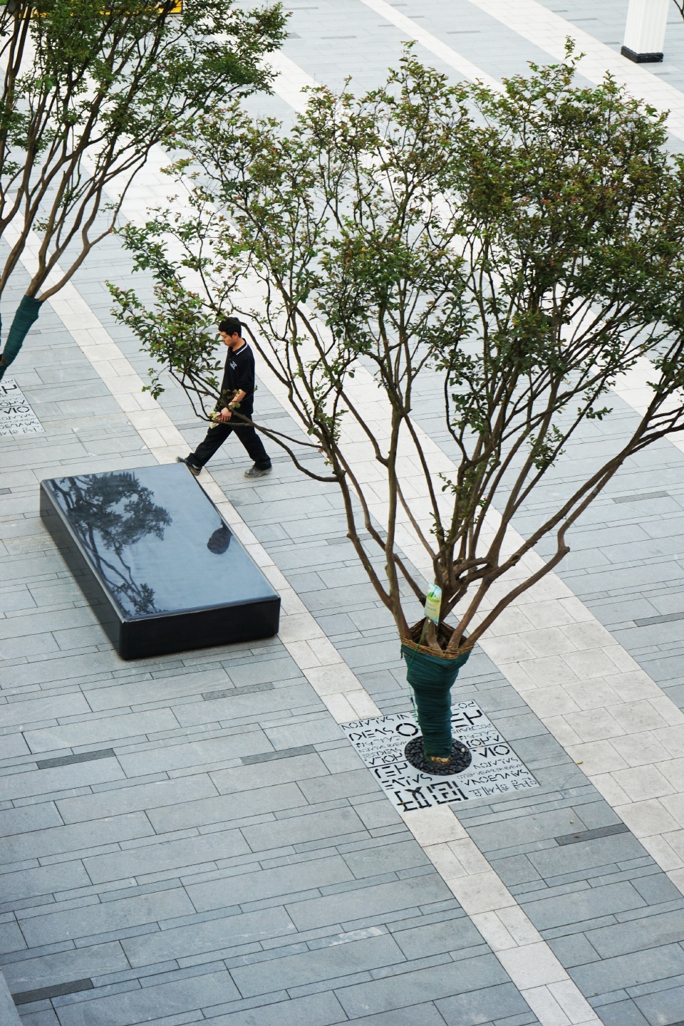 landscape of chongqing zhongrui industrial park by wtd