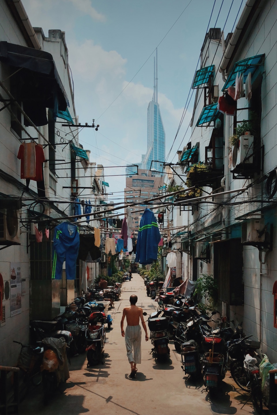 section cities by junfeng wang