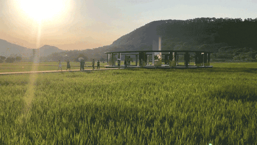 airice future agriculture cultural tourism town china by pmt partners